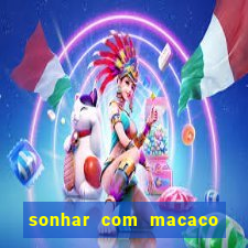 sonhar com macaco o que significa